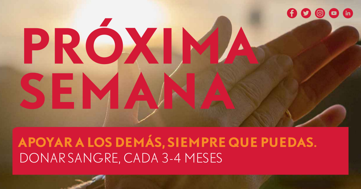 El ICHH insiste en la importancia de mantener un número regular de donaciones todo el año