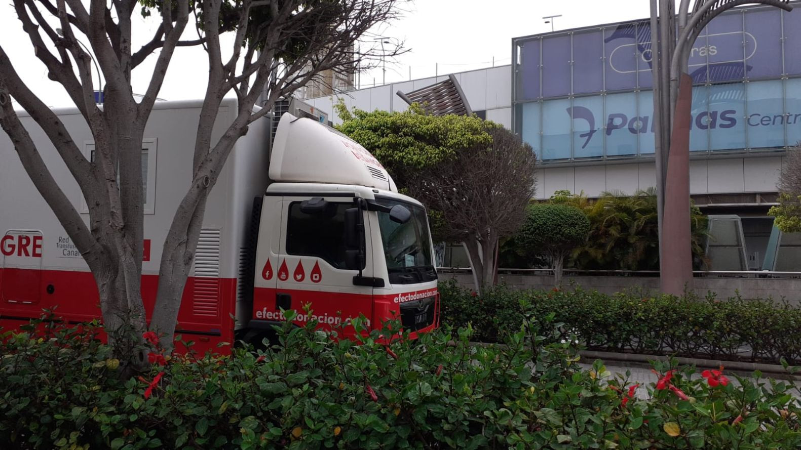 El ICHH acerca la donación de sangre al Centro Comercial y de Ocio 7 Palmas